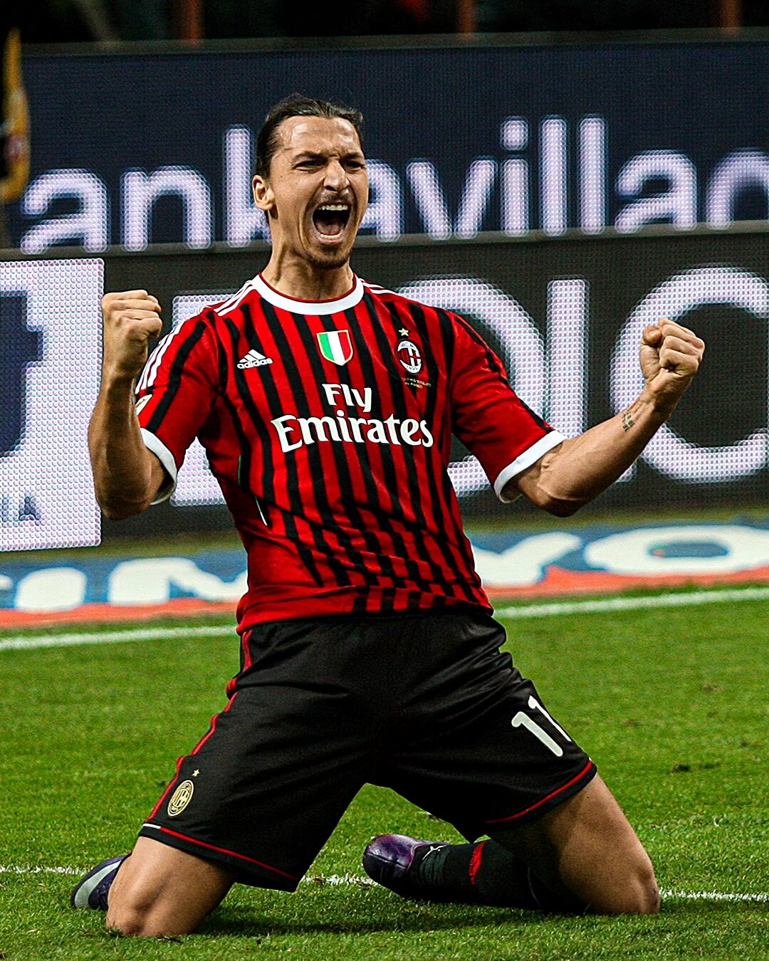 性与特征交 性与特征交